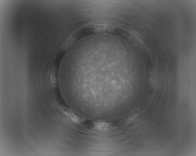 X0000072520226200607141206