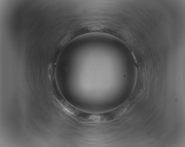 X0000072520227200607141206