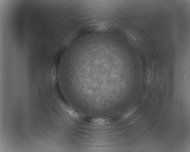 X0000072520230200607141206