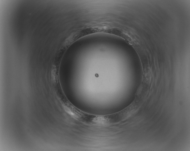 X0000072520231200607141206