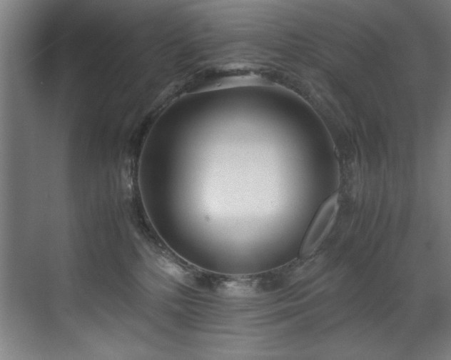 X0000072520232200607141206