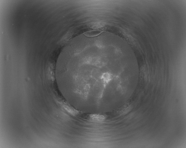 X0000072520234200607141206