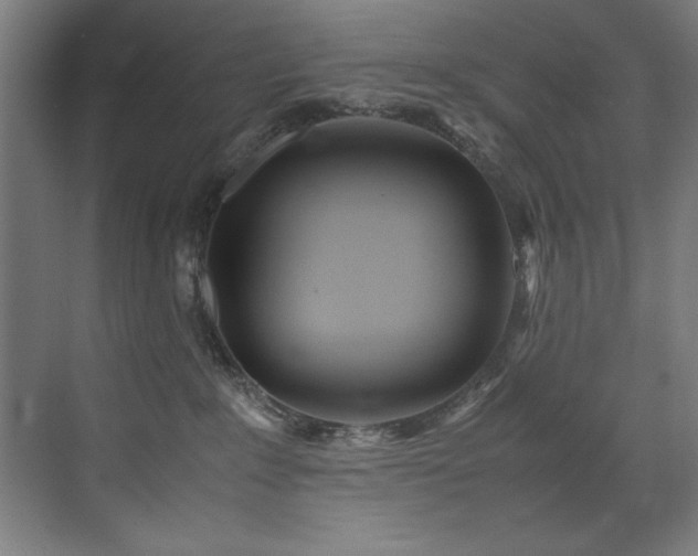 X0000072520235200607141206