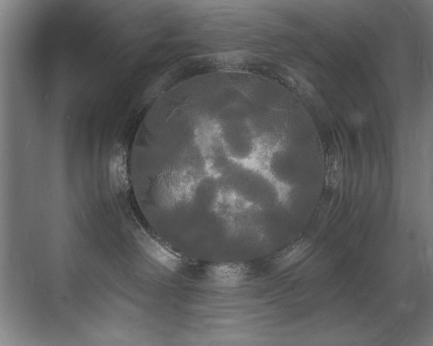 X0000072520238200607141206