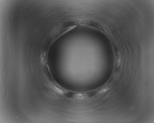 X0000072520239200607141206