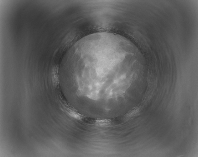 X0000072520240200607141206