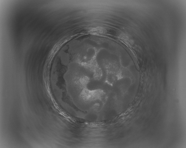 X0000072520241200607141205