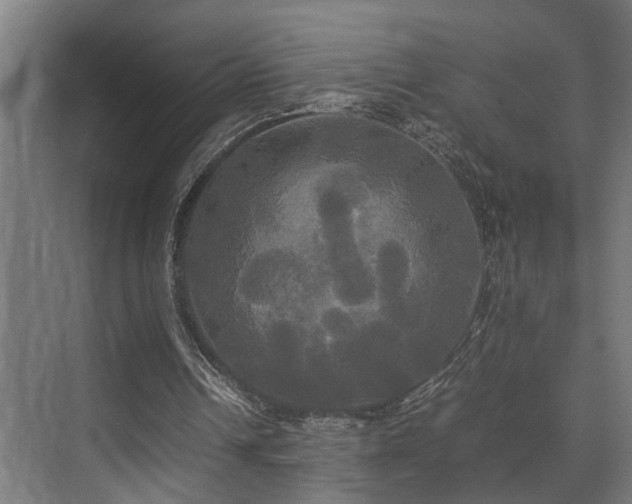 X0000072520242200607141205