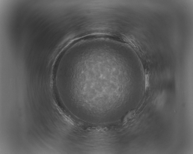 X0000072520243200607141205