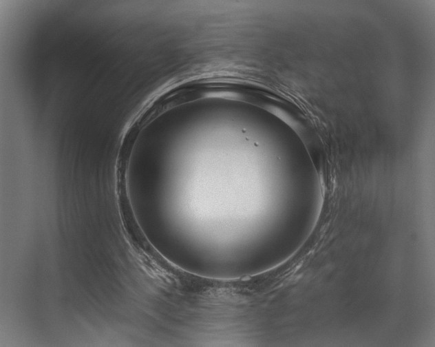 X0000072520244200607141205