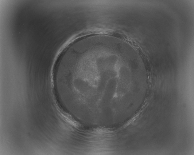 X0000072520246200607141205