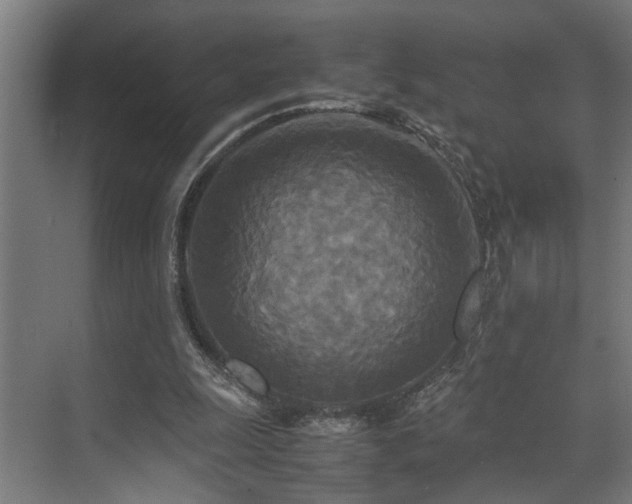 X0000072520247200607141205