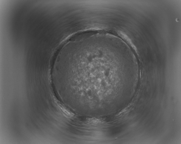 X0000072520249200607141205