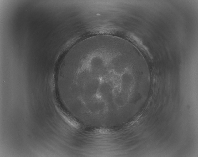 X0000072520250200607141205