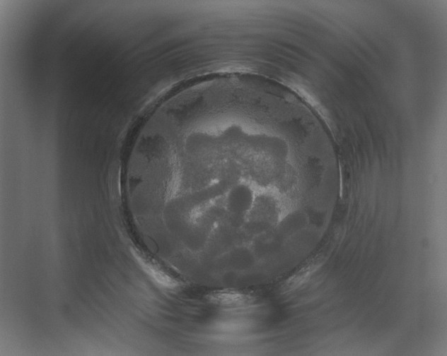 X0000072520253200607141205