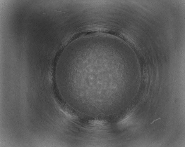 X0000072520255200607141205