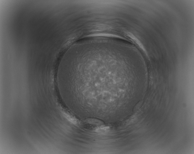 X0000072520257200607141205