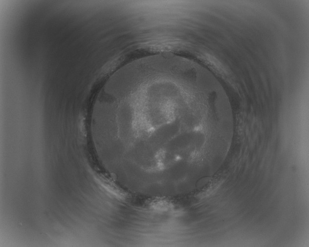 X0000072520258200607141205