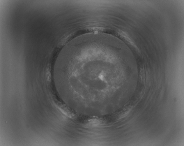 X0000072520259200607141205