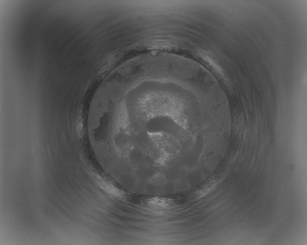 X0000072520261200607141205