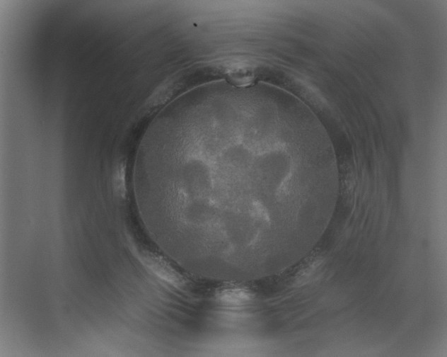 X0000072520262200607141205