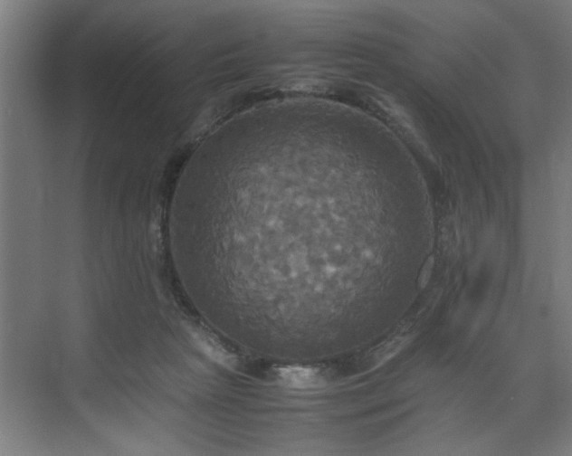 X0000072520265200607141205