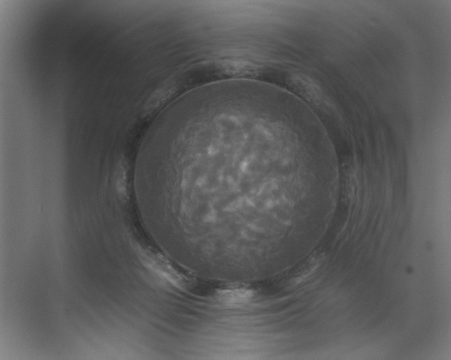 X0000072520266200607141205