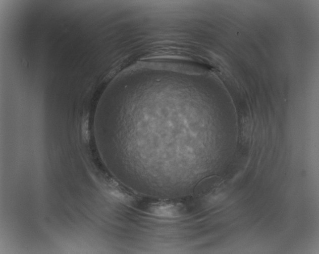 X0000072520267200607141205