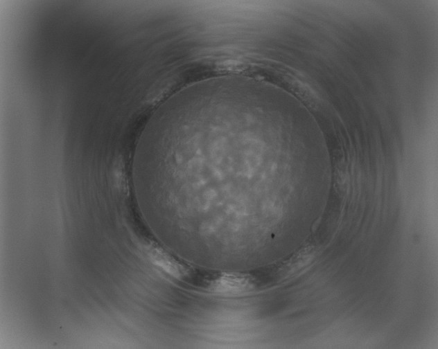 X0000072520270200607141205