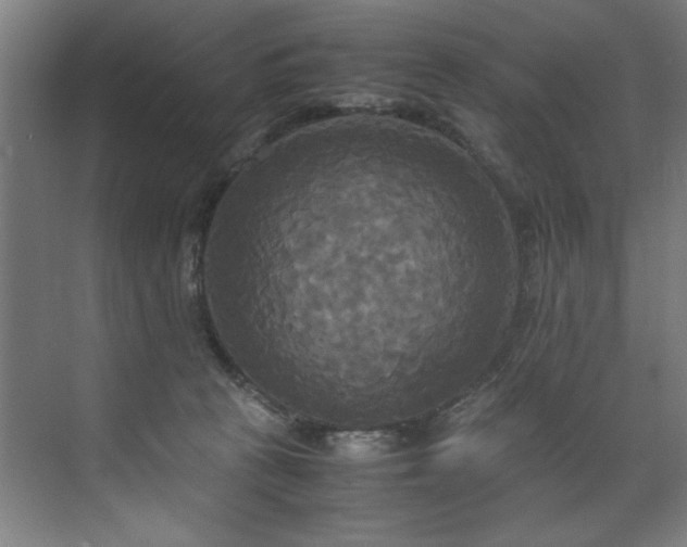 X0000072520273200607141206