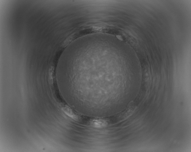 X0000072520275200607141206