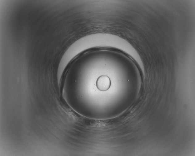 X0000072520276200607141206