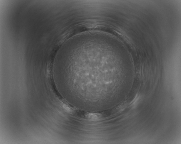 X0000072520277200607141206