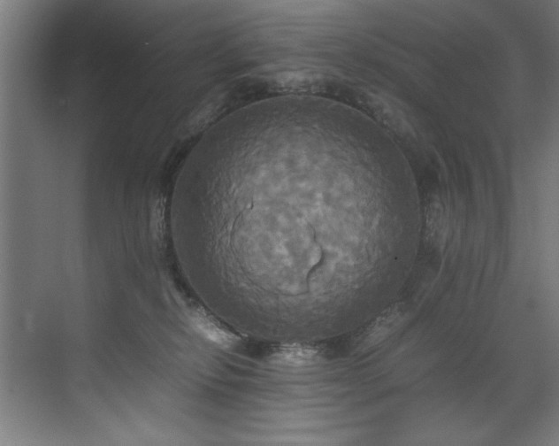 X0000072520278200607141206