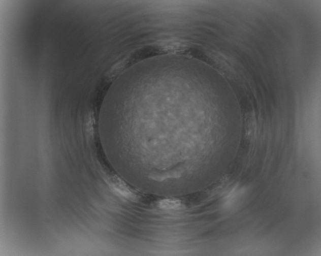 X0000072520279200607141206