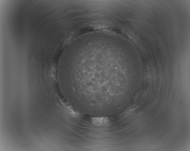 X0000072520281200607141206