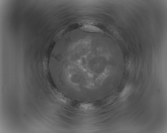 X0000072520283200607141206