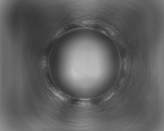 X0000072520284200607141206