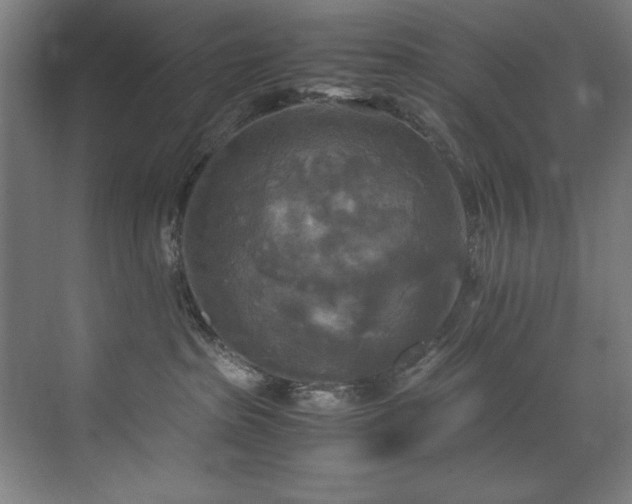 X0000072520285200607141206