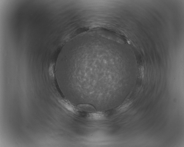 X0000072520286200607141206