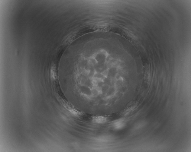 X0000072520287200607141206