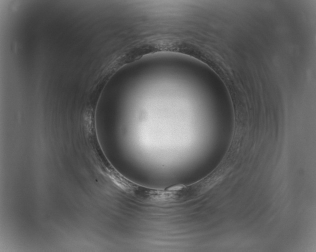 X0000072520288200607141206