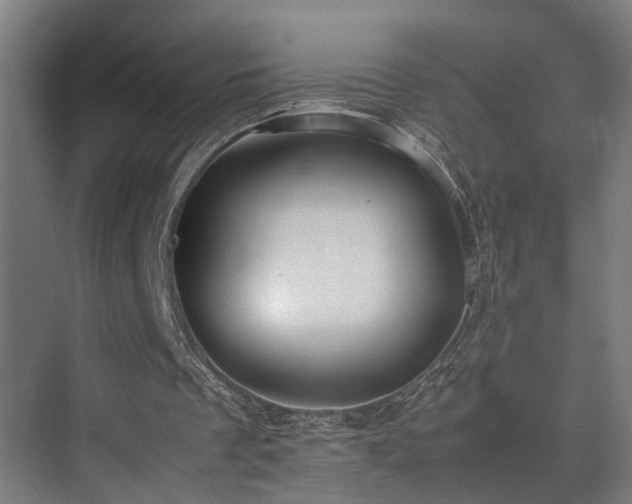 X0000072520289200607141205