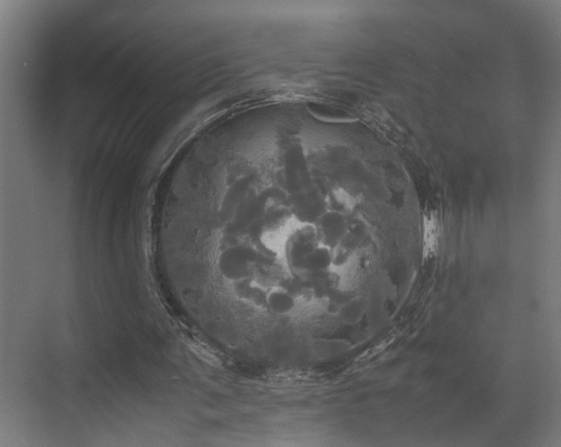 X0000072520291200607141205