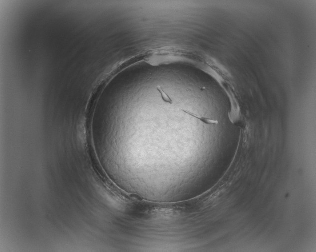 X0000072520298200607141205