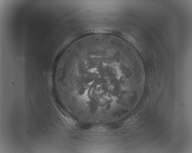 X0000072520299200607141205