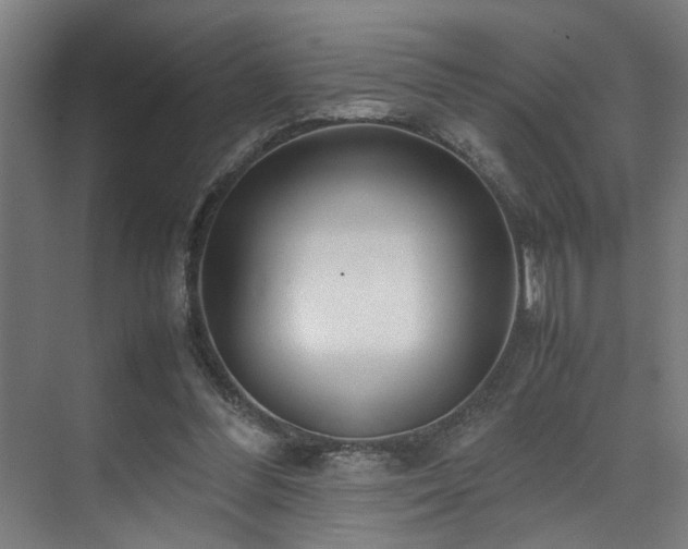 X0000072520300200607141205