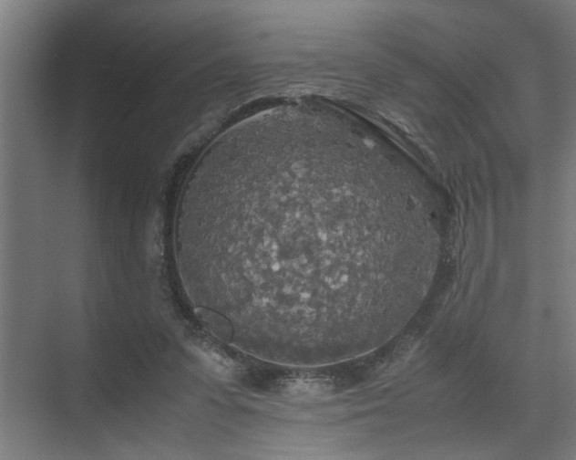 X0000072520303200607141205