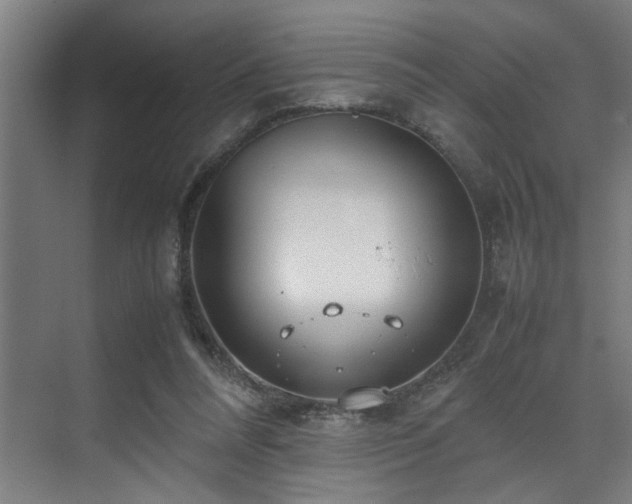 X0000072520304200607141205