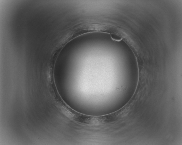 X0000072520305200607141205